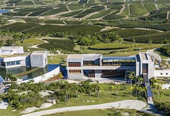 DEGUSTAÇÃO DE ALBARIÑOS DAS BODEGAS GARZÓN NA ABS-SP