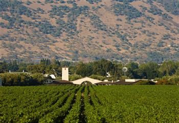 DEGUSTAÇÃO DE VINHOS DA ROBERT MONDAVI WINERY