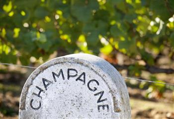 Champagnes na ABS-SP